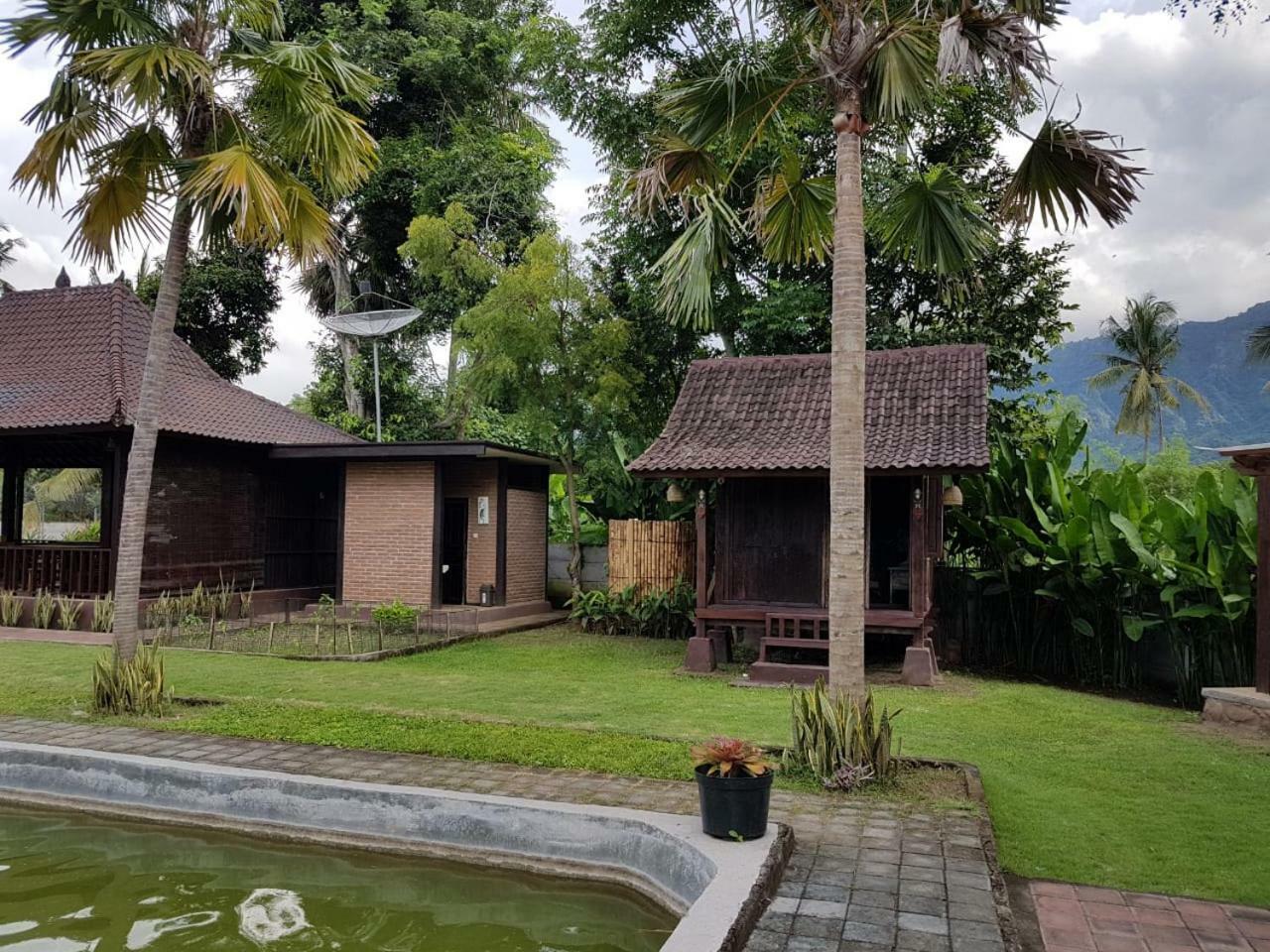Buana Ecofarm Ecolodge Grokgak Экстерьер фото